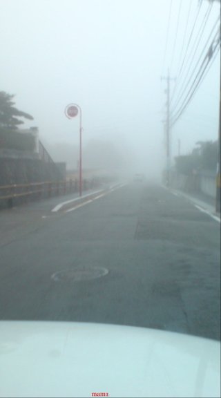 【ﾄﾞｸ部屋&#x{11:F991};】(*´艸`*)