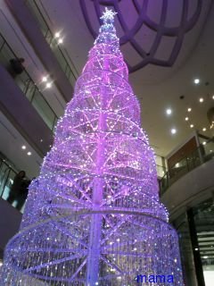 &#x{11:F99F};運動中心に頑張るダイエット&#x{11:F99F};