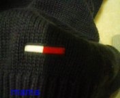 tommyくわしいかたいますか？