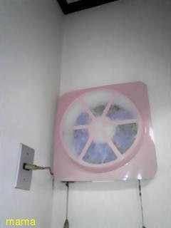 【狭】【汚】写ﾍﾟﾀ求む【古】【賃貸】