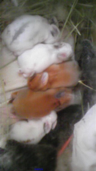 過食症克服してﾀﾞｲｴｯﾄ&#x{11:F9D2};&#x{11:F8F4};