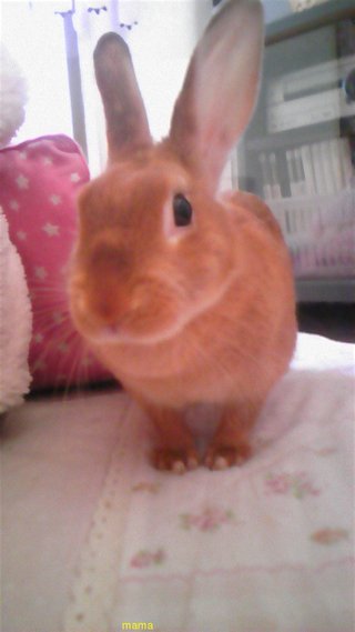 過食症克服してﾀﾞｲｴｯﾄ&#x{11:F9D2};&#x{11:F8F4};