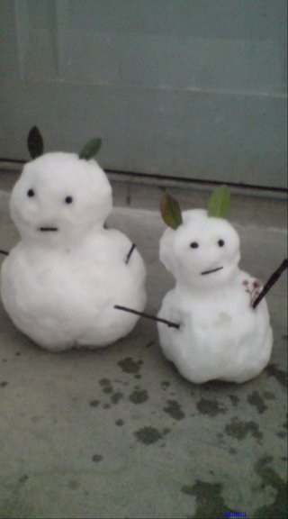 【ﾄﾞｸ部屋&#x{11:F991};】(*´艸`*)