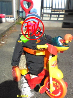 郡山市ママ友募集&#x{11:F9CE};