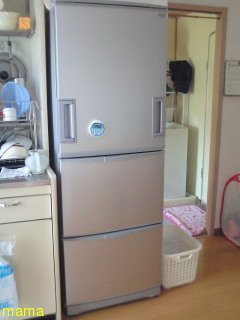 【狭】【汚】写ﾍﾟﾀ求む【古】【賃貸】