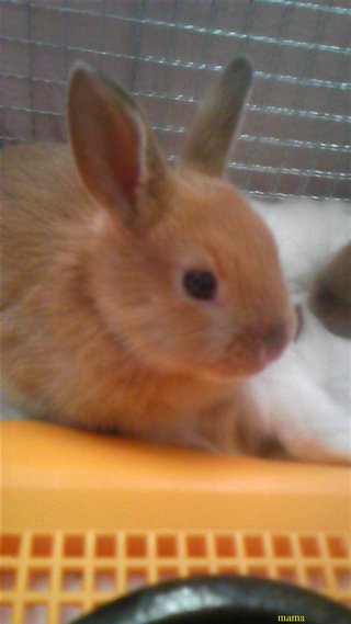 過食症克服してﾀﾞｲｴｯﾄ&#x{11:F9D2};&#x{11:F8F4};