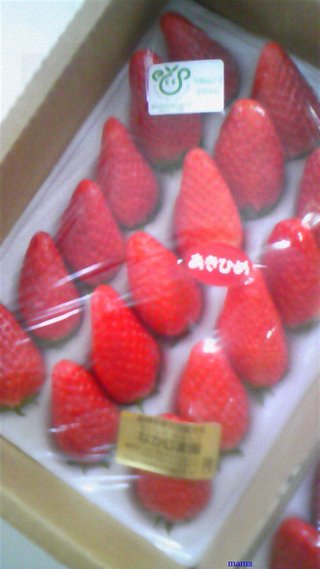 過食症克服してﾀﾞｲｴｯﾄ&#x{11:F9D2};&#x{11:F8F4};