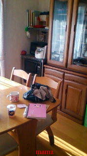 【狭】【汚】写ﾍﾟﾀ求む【古】【賃貸】