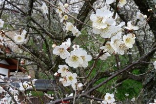 【ちらし裏】聞いてほしいの【ここに書け】