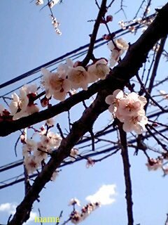 【ちらし裏】聞いてほしいの【ここに書け】