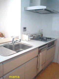 【便乗】お宅のキッチンorキッチン収納見せて下さい