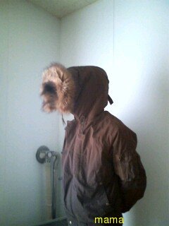 このフードは採寸ミスですか？