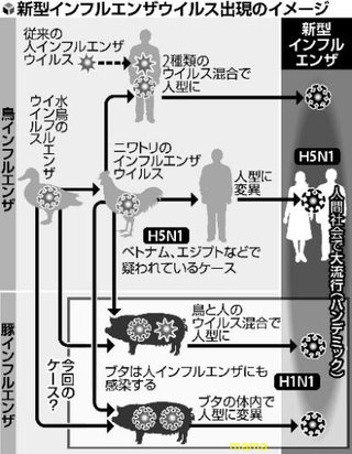 豚インフルエンザ