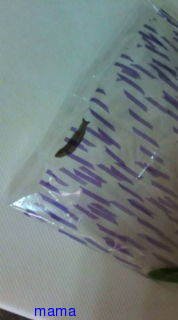 ニラを袋から出そうとしたら…