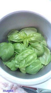 &#x{11:F9E6};&#x{11:F9E6};ガーデニング好きな方【情報交換】&#x{11:F9E6};&#x{11:F9E6};