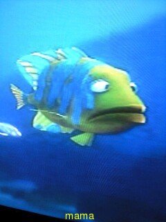 ファインディング ニモ