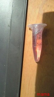 旦那のポケットでみつけました