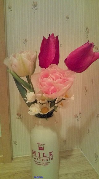 &#x{11:F9E6};&#x{11:F9E6};ガーデニング好きな方【情報交換】&#x{11:F9E6};&#x{11:F9E6};