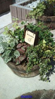 &#x{11:F9E6};&#x{11:F9E6};ガーデニング好きな方【情報交換】&#x{11:F9E6};&#x{11:F9E6};