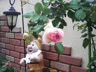 &#x{11:F9E6};&#x{11:F9E6};ガーデニング好きな方【情報交換】&#x{11:F9E6};&#x{11:F9E6};