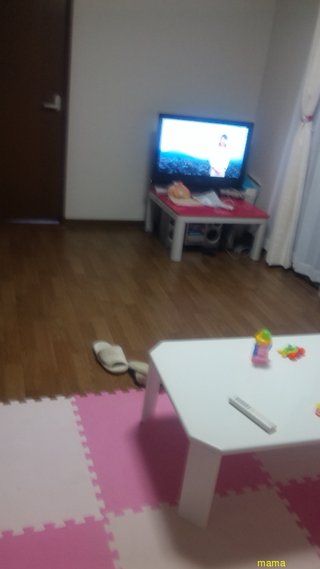 【狭】【汚】写ﾍﾟﾀ求む【古】【賃貸】