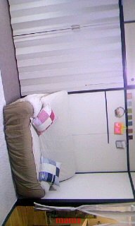 【狭】【汚】写ﾍﾟﾀ求む【古】【賃貸】