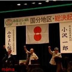 民主党が日本国旗を切り刻み、党旗に