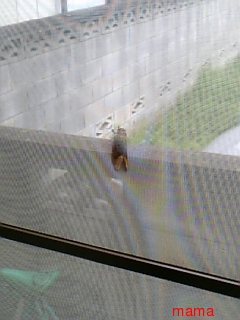 埼玉県【総合】