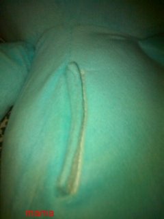 ｹﾞｰｾﾝで取った30ｾﾝﾁ位のｹｱﾍﾞｱの