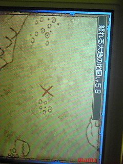 【ネタバレ有】ドラクエⅨ星空の守り人【攻略】