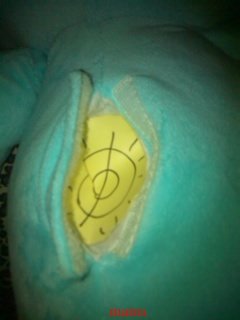 ｹﾞｰｾﾝで取った30ｾﾝﾁ位のｹｱﾍﾞｱの