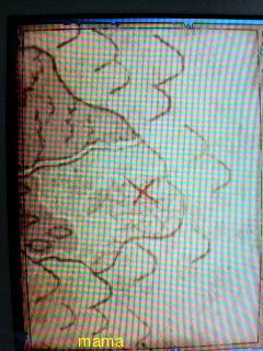 【ネタバレ有】ドラクエⅨ星空の守り人【攻略】