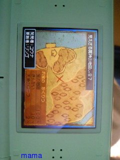 【ネタバレ有】ドラクエⅨ星空の守り人【攻略】