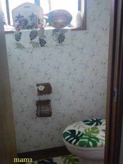 【狭】【汚】写ﾍﾟﾀ求む【古】【賃貸】