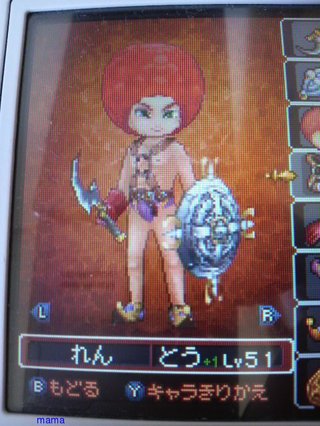 DSドラクエⅨ星空の守り人