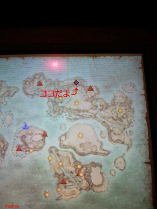 【ネタバレ有】ドラクエⅨ星空の守り人【攻略】