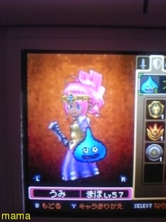 DSドラクエⅨ星空の守り人