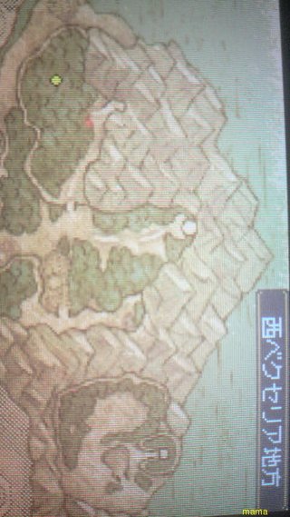 【ネタバレ有】ドラクエⅨ星空の守り人【攻略】