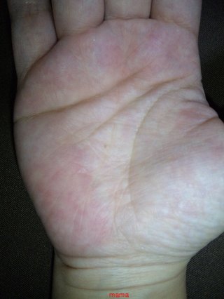 １０人限定！手相見るよ！