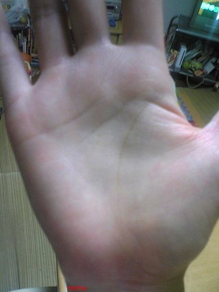 １０人限定！手相見るよ！