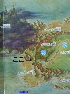 【ネタバレ有】ドラクエⅨ星空の守り人【攻略】