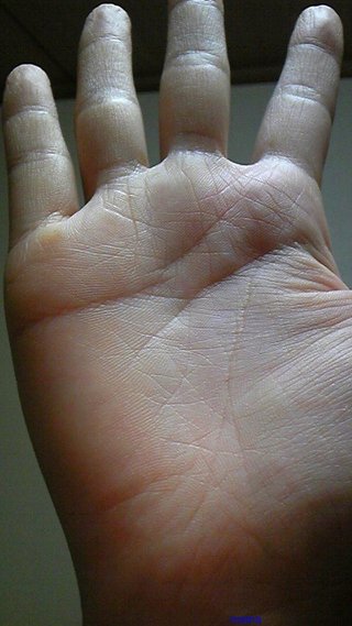 １０人限定！手相見るよ！