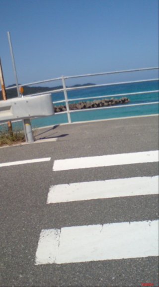 【ﾄﾞｸ部屋&#x{11:F991};】(*´艸`*)