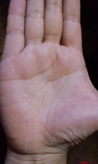 １０人限定！手相見るよ！