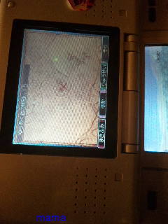 【ネタバレ有】ドラクエⅨ星空の守り人【攻略】