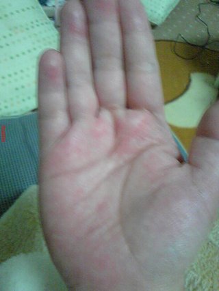 手相見ます!!1日限定３人