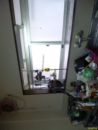 【狭】【汚】写ﾍﾟﾀ求む【古】【賃貸】