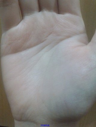 手相見ます!!1日限定３人