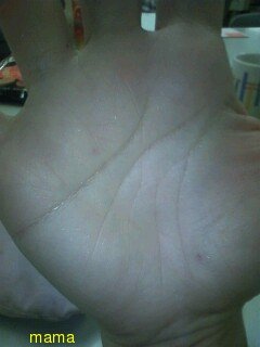 手相見ます!!1日限定３人