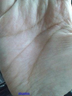 手相見ます!!1日限定３人